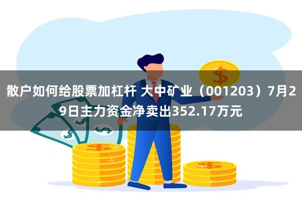 散户如何给股票加杠杆 大中矿业（001203）7月29日主力资金净卖出352.17万元