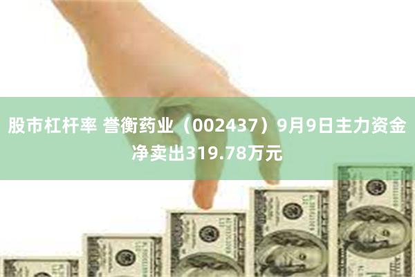 股市杠杆率 誉衡药业（002437）9月9日主力资金净卖出319.78万元