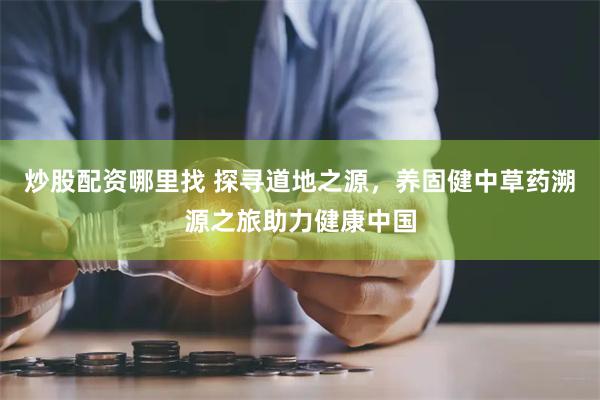 炒股配资哪里找 探寻道地之源，养固健中草药溯源之旅助力健康中国