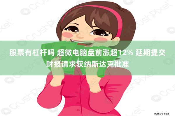 股票有杠杆吗 超微电脑盘前涨超12% 延期提交财报请求获纳斯达克批准