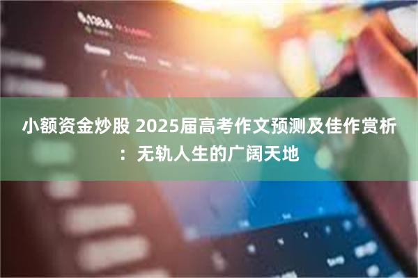 小额资金炒股 2025届高考作文预测及佳作赏析：无轨人生的广阔天地