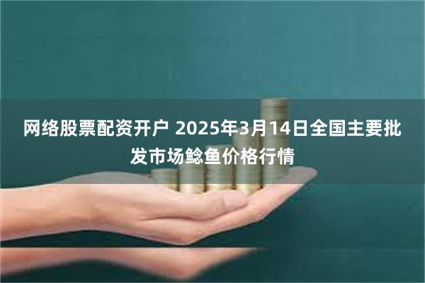 网络股票配资开户 2025年3月14日全国主要批发市场鲶鱼价格行情